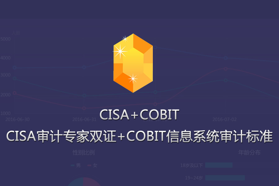 CISA+COBIT培训